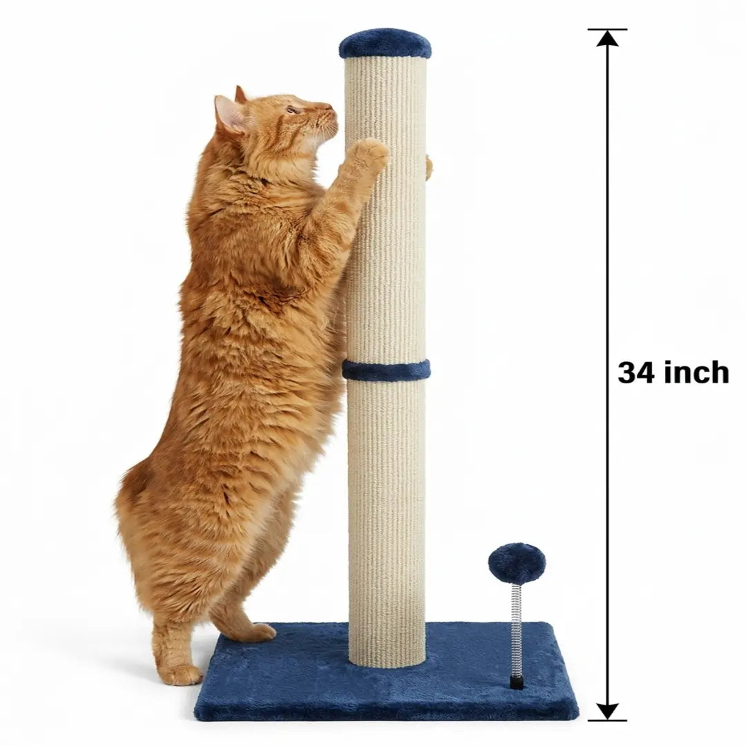 Pawrino Premium Tall Cat Scratching Post – Durable Sisal Scratching Solution for Indoor Cats with Stable Base, Complete Sisal Coverage, and Replaceable Toy Wand