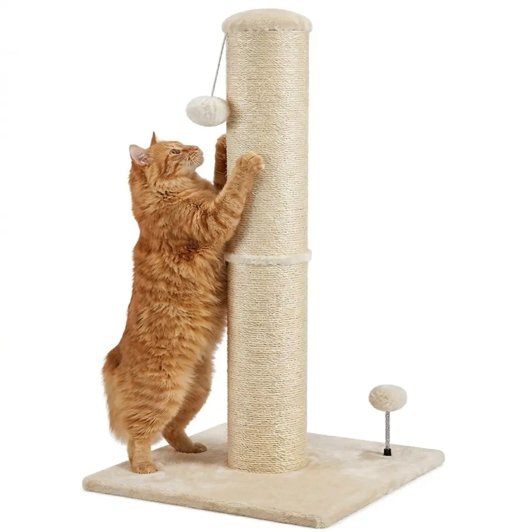 Pawrino Premium Tall Cat Scratching Post – Durable Sisal Scratching Solution for Indoor Cats with Stable Base, Complete Sisal Coverage, and Replaceable Toy Wand